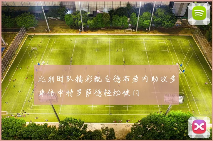 比利时队精彩配合德布劳内助攻多库传中特罗萨德轻松破门