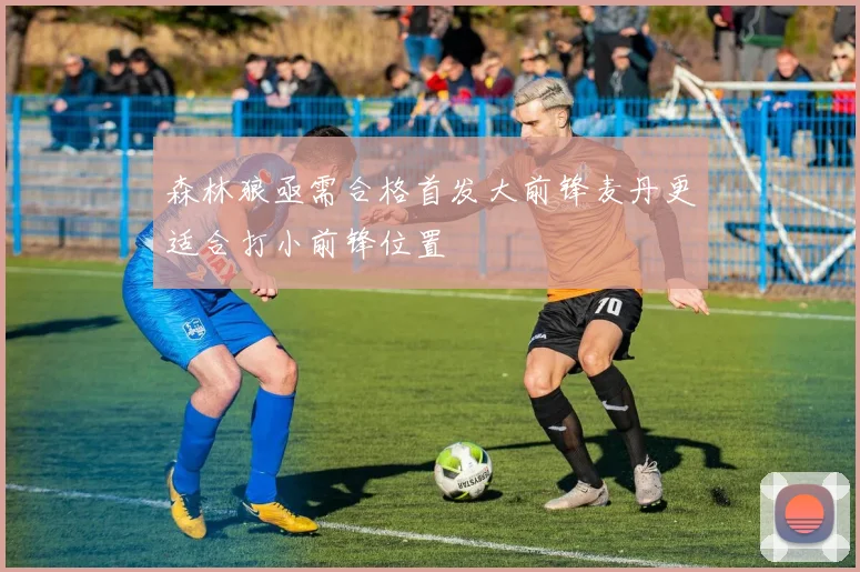 森林狼亟需合格首发大前锋麦丹更适合打小前锋位置